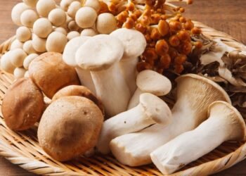 Give your heart health a boost with mushrooms