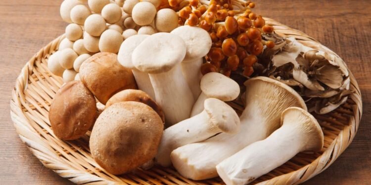 Give your heart health a boost with mushrooms