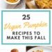 35 Delicious Vegan Pumpkin Recipes (sweet and savory!)