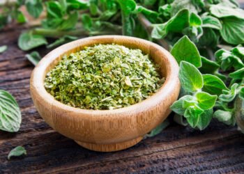 Fresh-to-Dried Herb Conversion Guide (Plus Garlic, Onion Powder Conversions)
