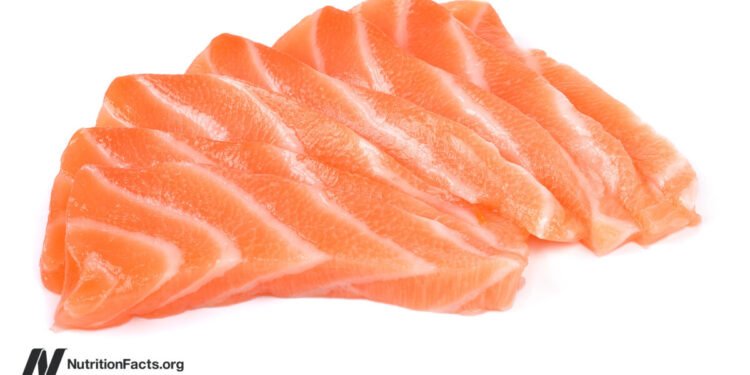 Say No to Fish for Five Years Before Pregnancy 