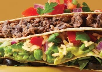 Fold-Up Rice and Black Bean Quesadillas