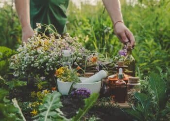 10 Proven Herbs for Combating Anxiety and Depression: Nature’s Best Kept Secrets