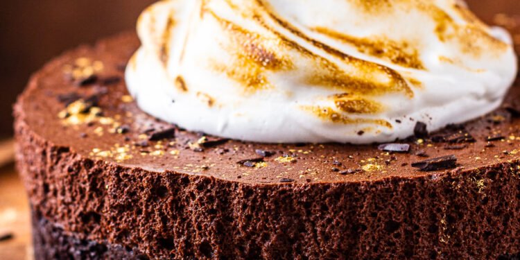 Vegan chocolate mousse cake – Lazy Cat Kitchen
