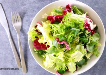 Restricting Calories for Longevity? 