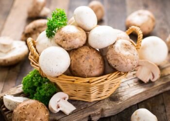 Put the plant back in plant-based eating in 2024 with mushrooms