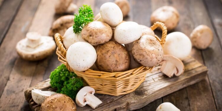 Put the plant back in plant-based eating in 2024 with mushrooms