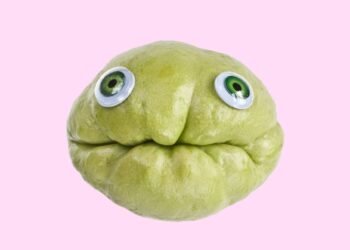 What’s Chayote? Everything You Need to Know About the Sweet Green Squash