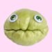 What’s Chayote? Everything You Need to Know About the Sweet Green Squash