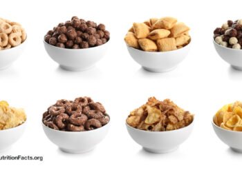 Are Fortified Children’s Breakfast Cereals Just Candy? 