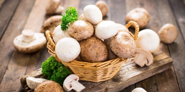 Mushrooms may improve memory, suggests study