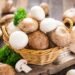 Mushrooms may improve memory, suggests study