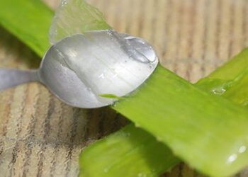 5 Natural Remedies To Significantly Reduce Unsightly Stretch Marks