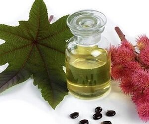 The Secrets of Castor Oil For Hair Growth