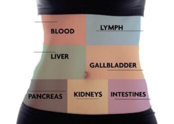 How To Detox In The Correct Order For More Efficient Cleansing