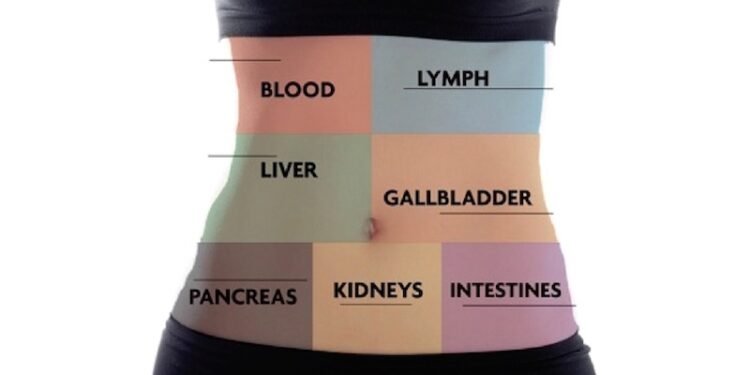 How To Detox In The Correct Order For More Efficient Cleansing