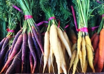 All About Carrots! Rainbow Hues, Using the Tops, and What are Baby Carrots, Really?