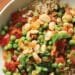 Spanish-Style Fava Beans Recipe – Forks Over Knives