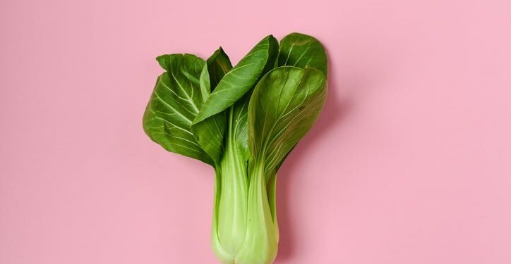 Bok Choy 101: Everything You Need to Know About the Asian Green