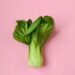 Bok Choy 101: Everything You Need to Know About the Asian Green