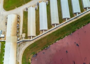 In Sweeping New Report, Climate Scientists Urge Move Toward Plant-Based Diets