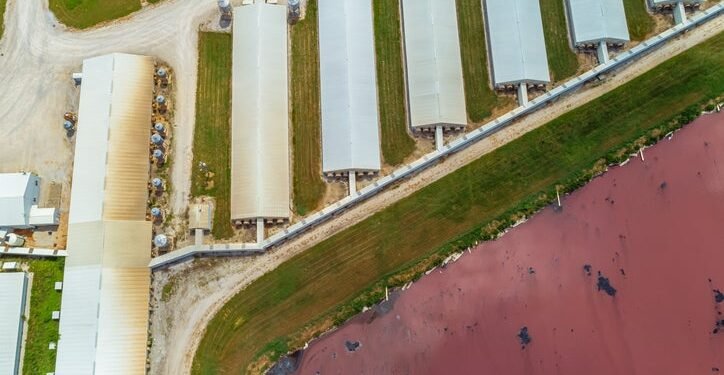 In Sweeping New Report, Climate Scientists Urge Move Toward Plant-Based Diets