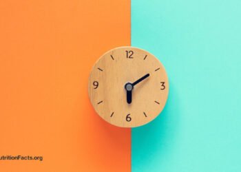 Syncing Your Brain and Body Clocks 