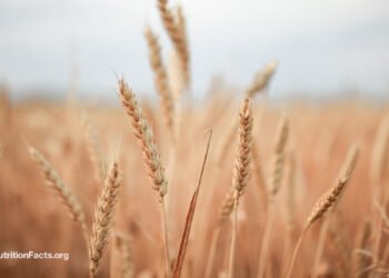 How Healthy Are Ancient Grains? 