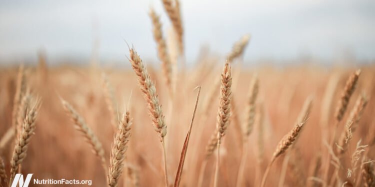 How Healthy Are Ancient Grains? 