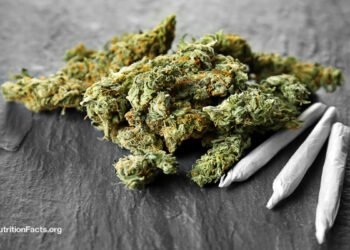 Does Marijuana Affect Weight Gain or Bone Density? 