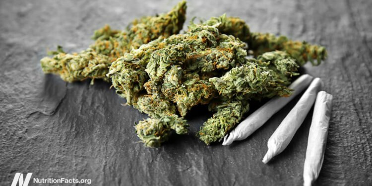 Does Marijuana Affect Weight Gain or Bone Density? 