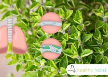 8 cleansing herbs that will open up your airways and clear mucus from your lungs
