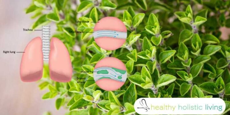 8 cleansing herbs that will open up your airways and clear mucus from your lungs