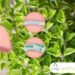 8 cleansing herbs that will open up your airways and clear mucus from your lungs