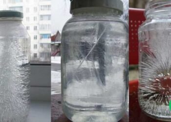 How To Detect Negative Energies At Home Using Only A Glass Of Water