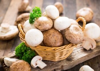 Mushrooms are a dream Mediterranean diet match