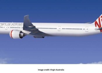 Airline to allow cats and dogs to fly in cabins alongside owners