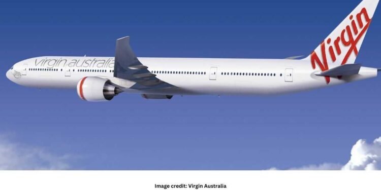 Airline to allow cats and dogs to fly in cabins alongside owners