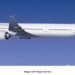 Airline to allow cats and dogs to fly in cabins alongside owners