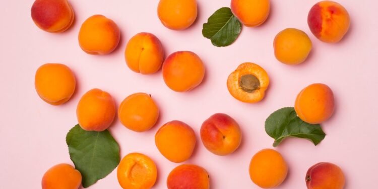 Cook’s Guide to Fresh and Dried Apricots