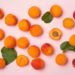 Cook’s Guide to Fresh and Dried Apricots