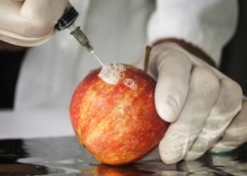 Three Genetically Engineered “Non-Browning” GMO Apples Are In Store Shelves! Here is How to Avoid Them