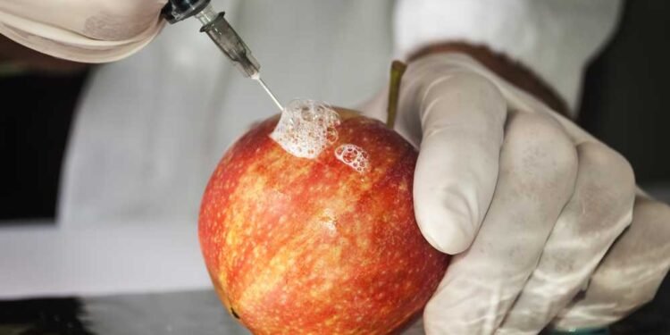 Three Genetically Engineered “Non-Browning” GMO Apples Are In Store Shelves! Here is How to Avoid Them