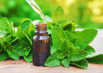 Spray This Simple 2-Ingredient Mixture & You Will Never See Spiders, Fleas, Flies, Lice, Mice, Moths and More in Your Home