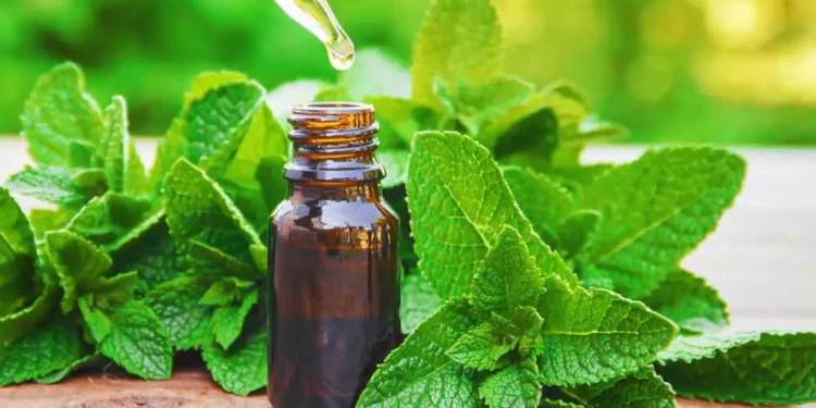 Spray This Simple 2-Ingredient Mixture & You Will Never See Spiders, Fleas, Flies, Lice, Mice, Moths and More in Your Home