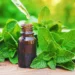 Spray This Simple 2-Ingredient Mixture & You Will Never See Spiders, Fleas, Flies, Lice, Mice, Moths and More in Your Home