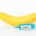 Warning: The World’s First GMO Bananas are Approved for Export to the U.S