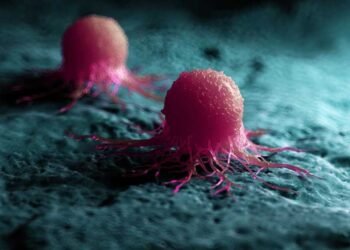The Role of Collagen in Keeping Cancer Cells Dormant: A New Frontier in Cancer Treatment
