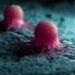 The Role of Collagen in Keeping Cancer Cells Dormant: A New Frontier in Cancer Treatment