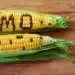 Do The Animals Know Something About GMOs We Don’t? A Farmer Conducted an Experiment